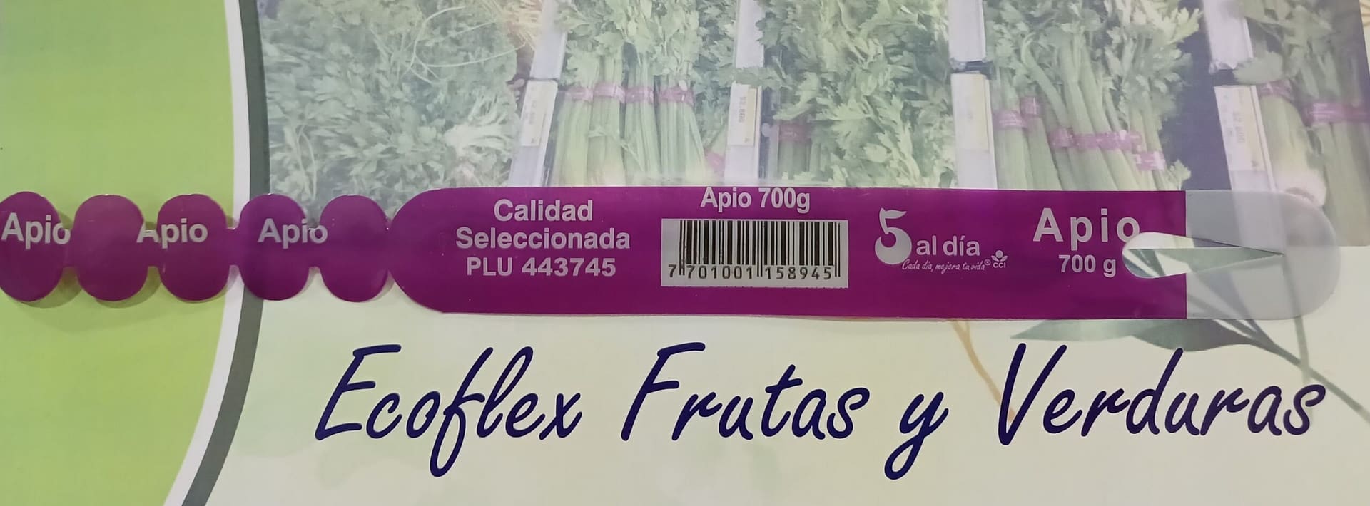 apio-apuenplast-s-a-s
