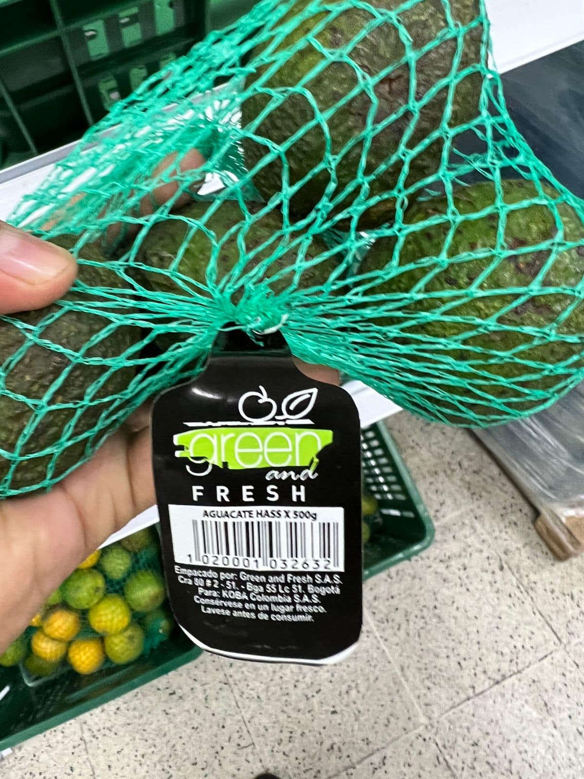 AGUACATE - Imagen 3
