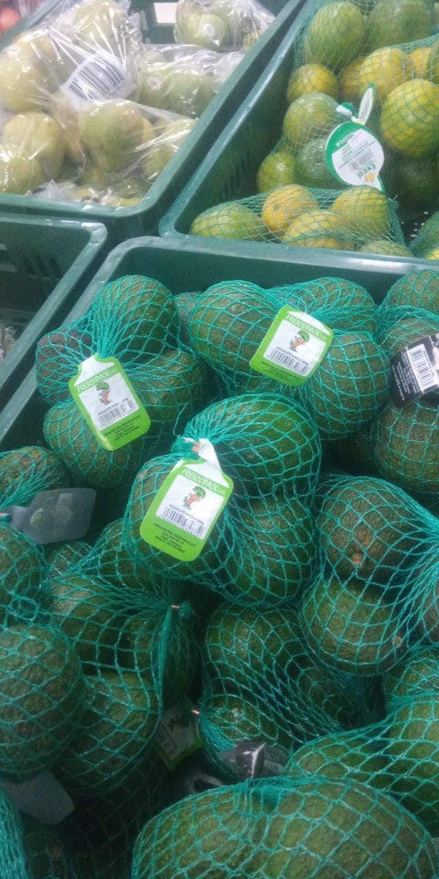 presentacion aguacate