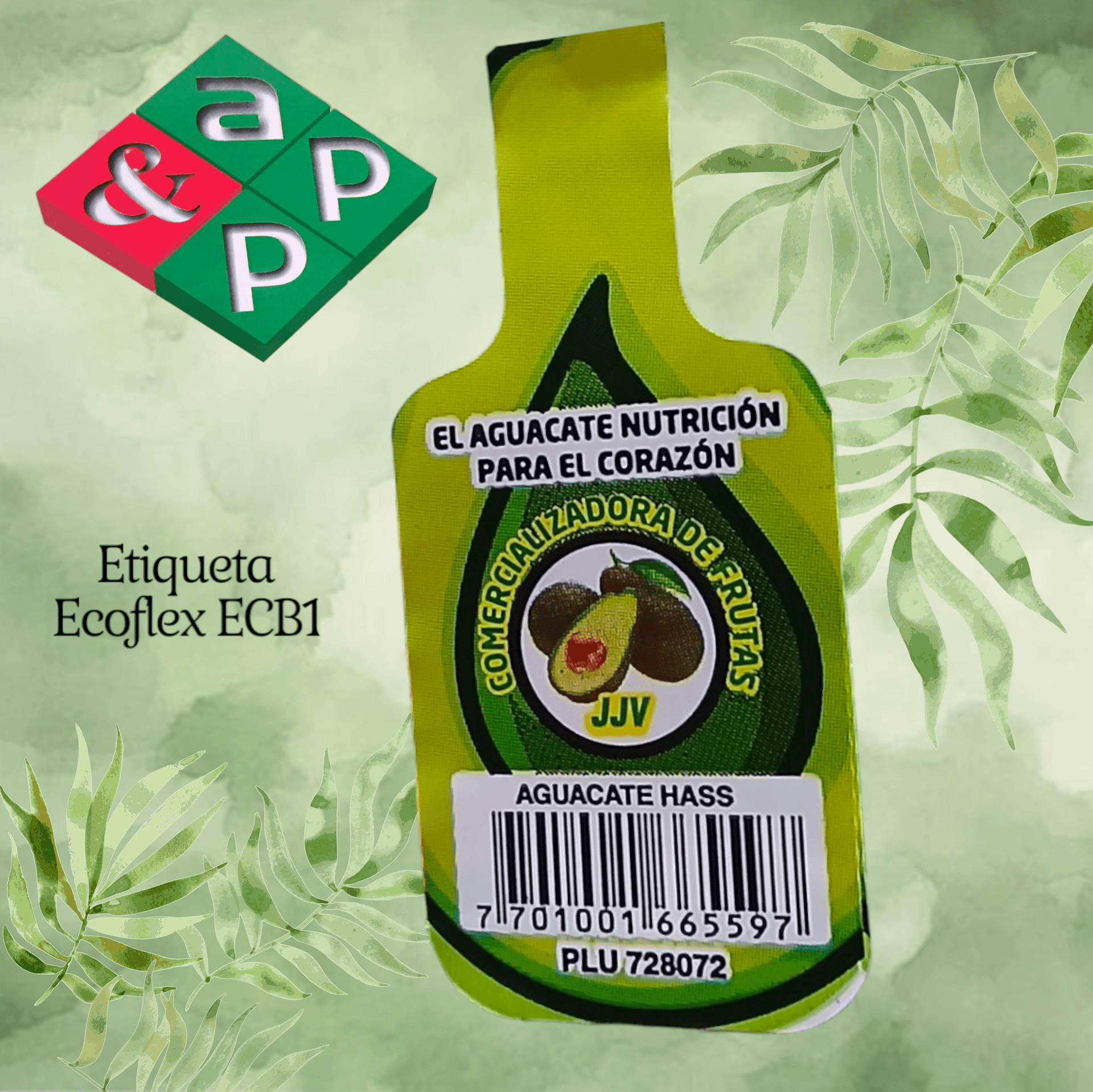 AGUACATE - Imagen 4