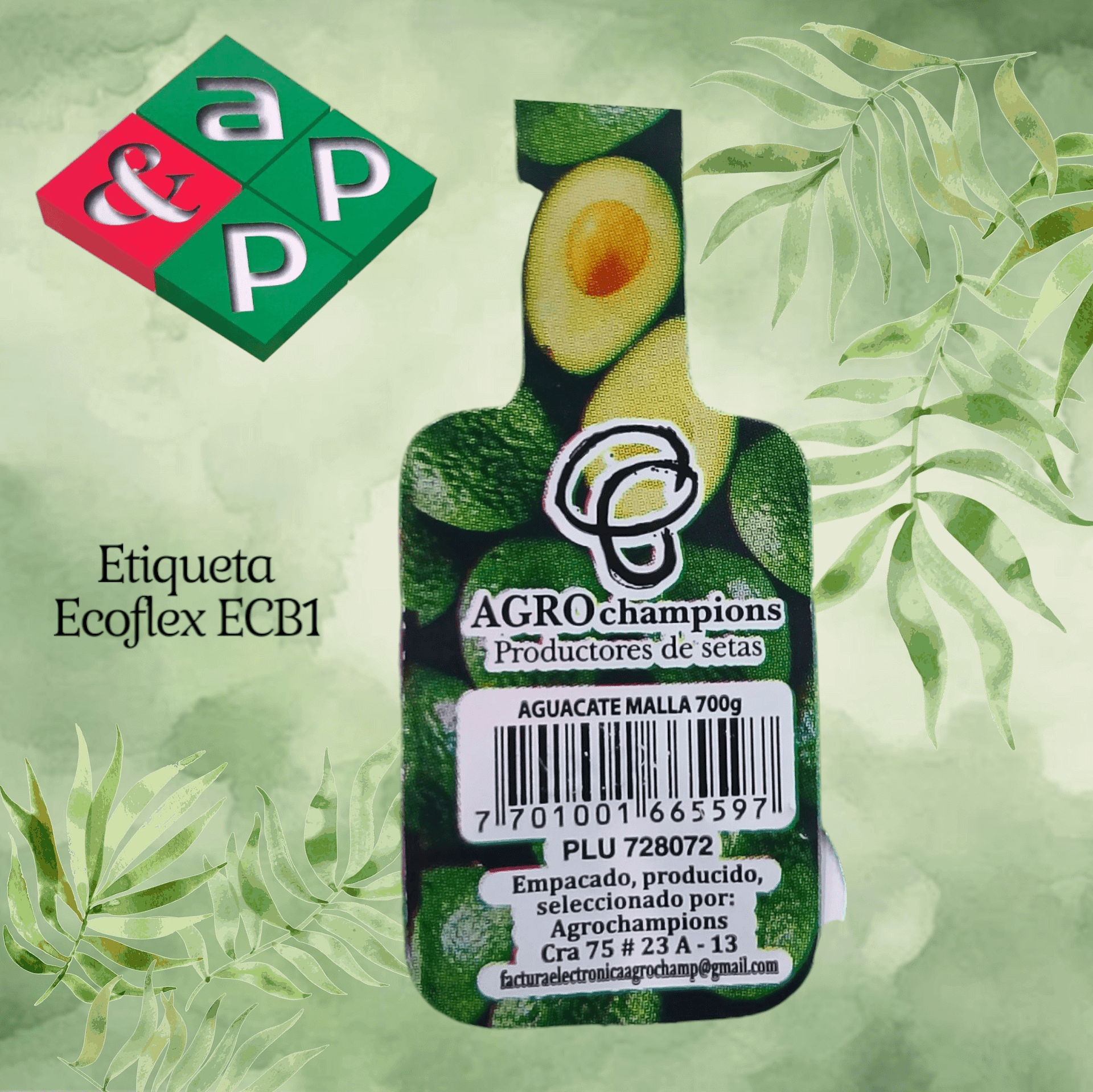 AGUACATE